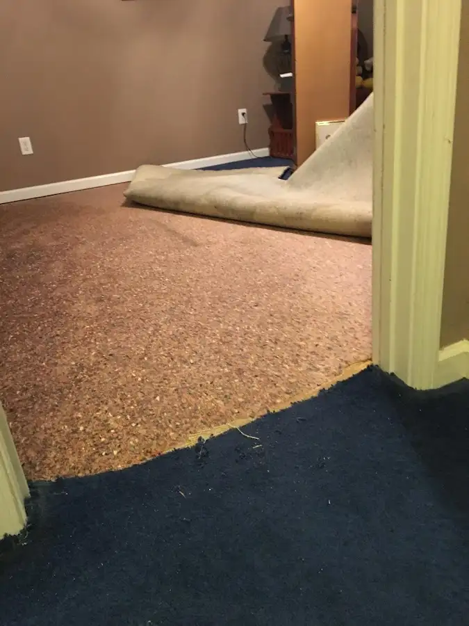 Carpet pad removal revealing water damage during Water Mitigation Services in Willow Oak