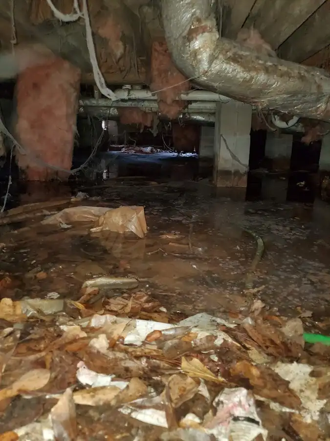 Crawl space flood assessment for Leak Detection & Repair in Willow Oak