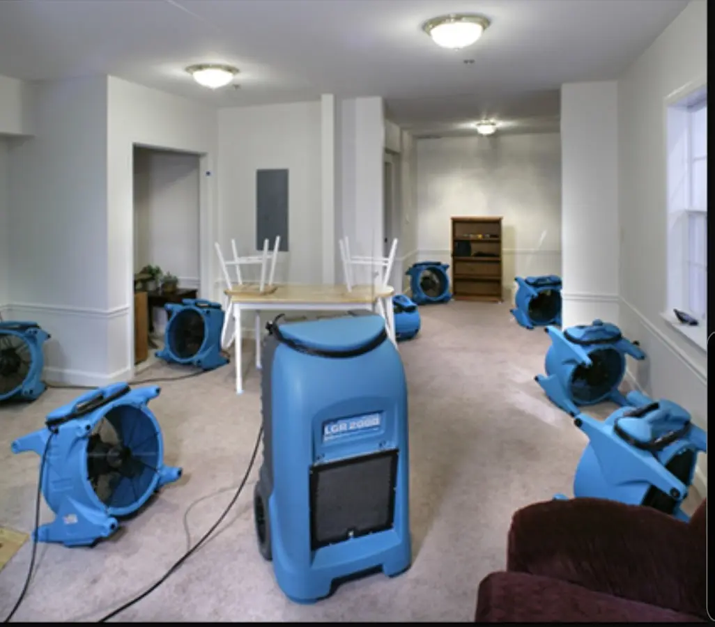 Air movers and dehumidifier setup for Water Extraction & Removal in Willow Oak