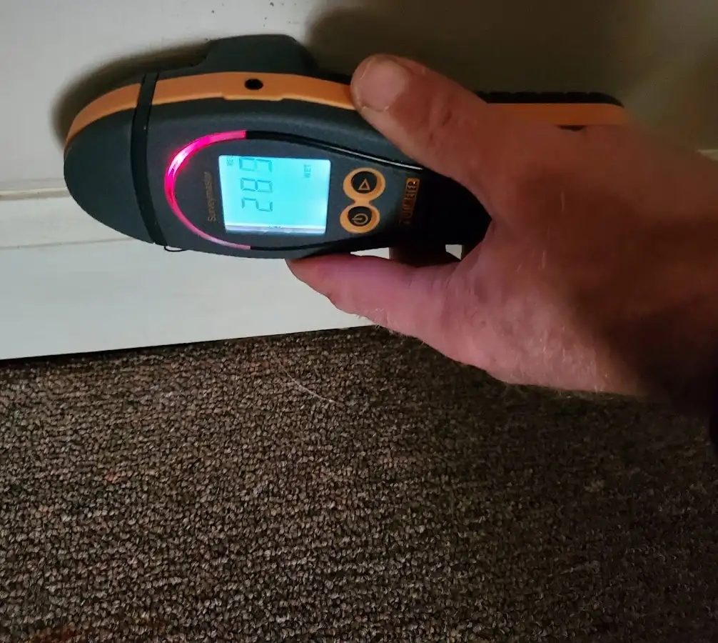 Moisture detection at baseboard during Burst Pipe Cleanup in Willow Oak