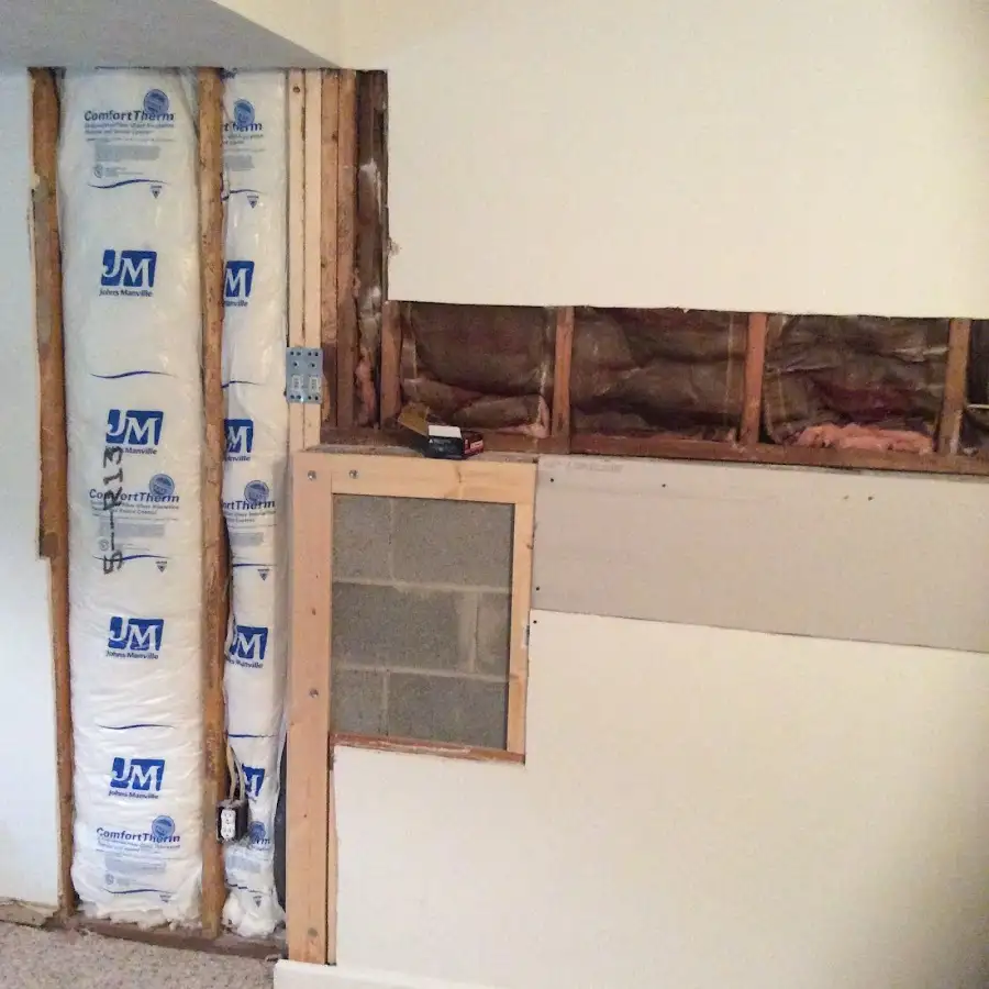 Wall insulation replacement during Basement Flood Cleanup in Willow Oak